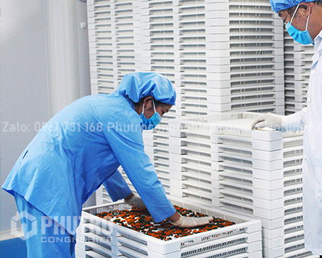 KHAY SẤY THUỐC – SẤY VIÊN NANG MỀM KT 76*50*5CM