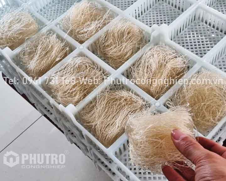 Khay sấy thực phẩm miến dong, mì,...
