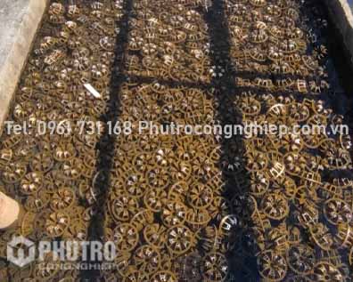 CẦU NHỰA VI SINH D105