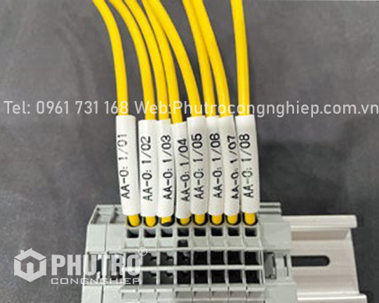 Máy đánh chữ (in đầu cốt) LETATWIN LM-550A3/PC