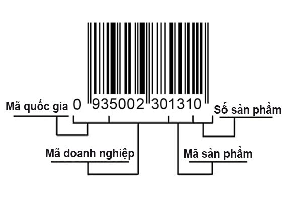 Công dụng và ý nghĩa của cách loại mã vạch Công dụng và ý nghĩa của cách loại mã vạch