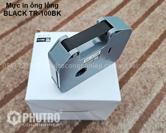 Mực in Brother TR-100BK (PT)